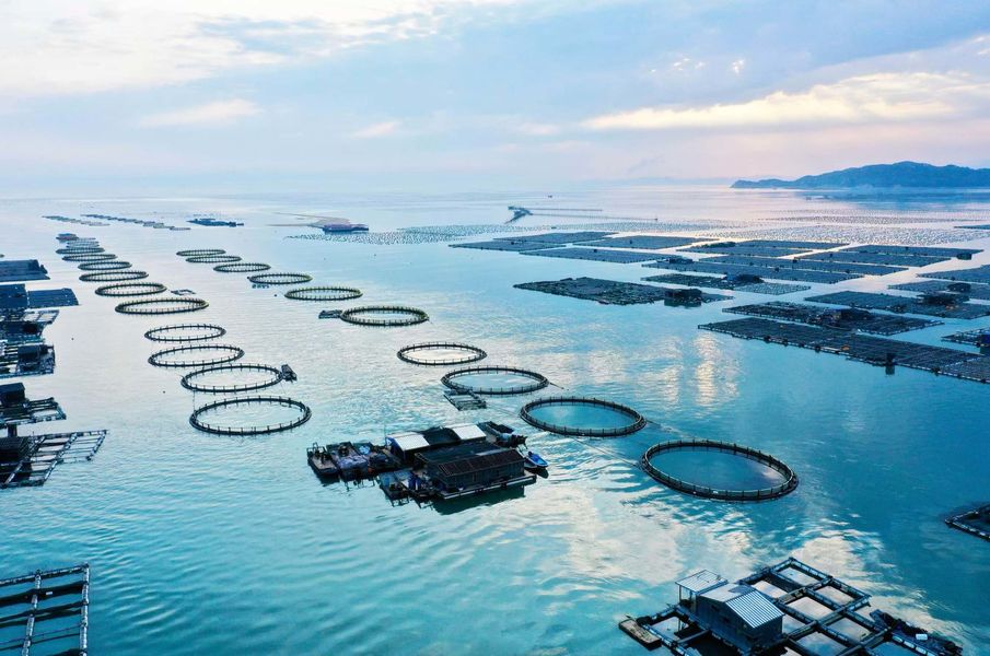 Sản xuất thủy sản