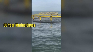 Durable HDPE Fish Cages Last 30 Years
