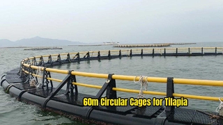 circular