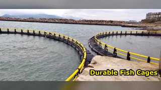 Deep Sea Fish Cages Built to Last