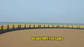 Scatti dal vivo della gabbia per pesci C90 in HDPE
