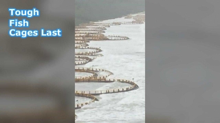 Deep Sea Fish Cages Ultimate Durability