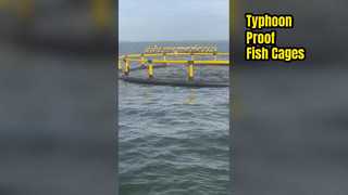 Anti Typhoon Fish Cage Deep Sea Aquaculture Solution