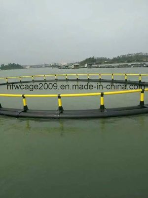 CE Approved WX PE FY 10M-60M Fish Farming Net Sea Cage for Commercial Aquaculture Operations