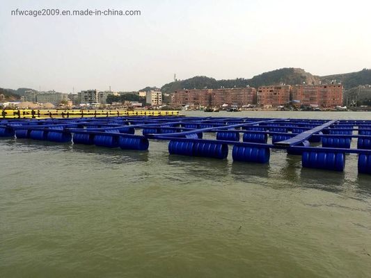 Square Pontoon Floating Fish Cage Diameter 10m To 60m Customized For Aquaculture Fish Farming