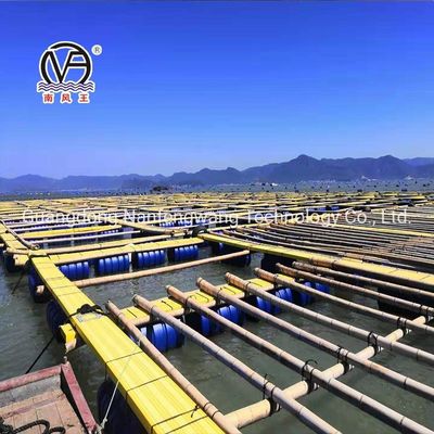 HDPE Floating Pontoon Fish Cage with 200mm/250mm/315mm/350mm/400mm/450mm/500mm Floating Pipe