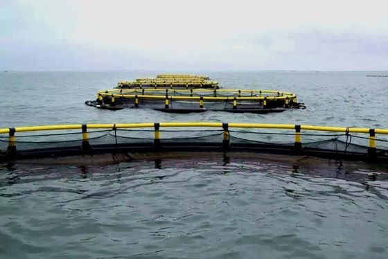 HDPE Pipe Square Fish Farming Cage Floating Anti Wind For Aquaculture Tools