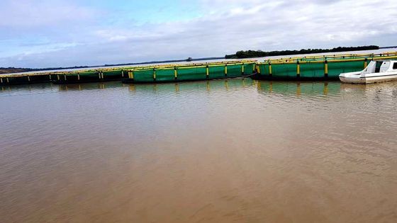 Simple Circular Cage for Fish Culture in Freshwater Lake and Pond Farming Machinery from Nanfengwang
