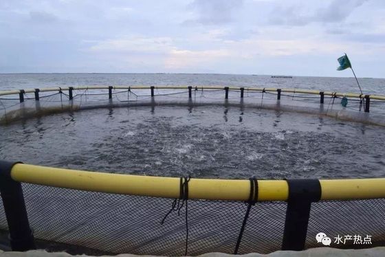 Customization HDPE Round Fish Farming Net Cage Farms For Aquaculture Industry