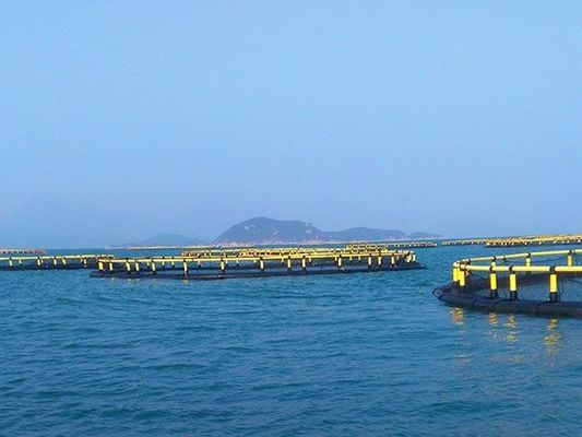 Gentian HDPE Fish Farming Cage With Floating Pipe Sizes 200mm/250mm/315mm/350mm/500mm