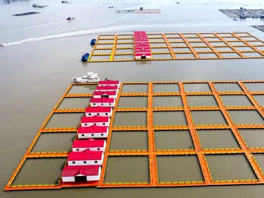 315mm Floating Pipe Square HDPE Fish Cage 4X4m Customized Floating In Lake Or River