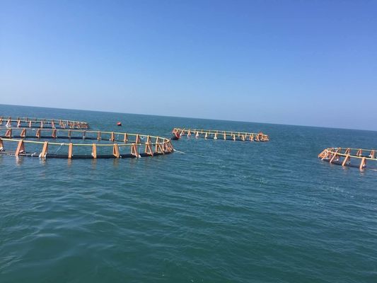 10 To 38m Diameters Circular Fish Cages Anti Wind With 315mm Floating Pipe