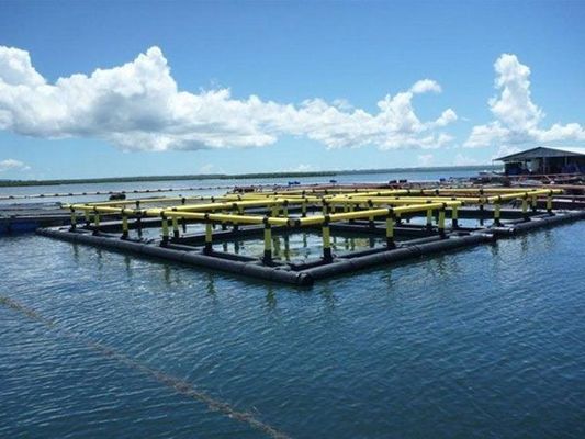 Square Aquaculture Fish Cage 6X6m Floating Pipe 200mm/500mm For Lake And River
