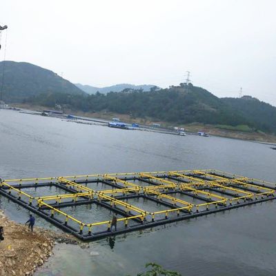 Black and Yellow HDPE Pipe Aquaculture Fish Cage Floating Leisure Cage with High Durability