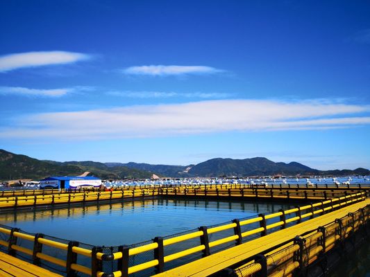 Round HDPE Pipe Circular Floating Net Cage for Fish Farming Made of HDPE and USD Payments