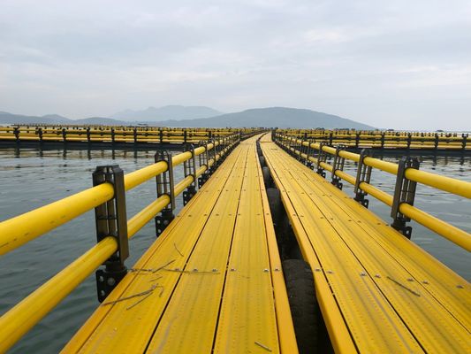200mm/250mm/315mm/350mm/400mm/450mm/500mm Floating Pipe Fish Net Cage for Offshore Fishermen