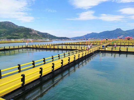 HDPE Plastic Floating Fish Farming Cage For Tilapia Fish Breeding