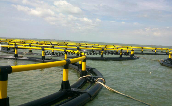 HDPE Fish Cage 10m-50m Diameter for Lake Farming