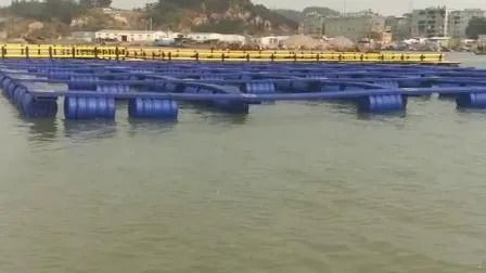 Hydraulic Power Source Submersible Floating Pontoon Fish Farming Cage with Marine Special Polyethylene