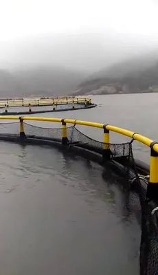 30m 40m 50m Circumference HDPE Circular Fish Cage for Deep Sea Offshore Aquaculture Farming