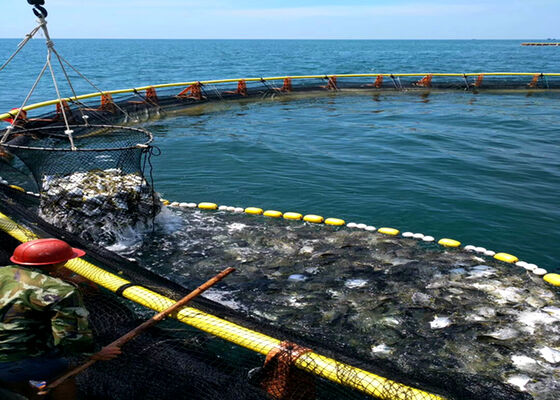 Deep Sea Anti Wave HDPE Fish Cage For Tilapia Shrimp Farming
