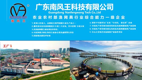 Deep Water Anti-typhoon Fish Culture Cage