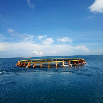 Deep Water Round Fish Farming Cage Anti Aging Floating Net Cage