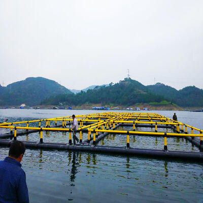 Square HDPE Floating Fish Cage For River Sea Aquaculture