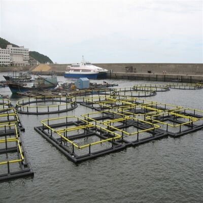Large Size Square Fish Farming Cage Commercial Aquaculture Net Cage