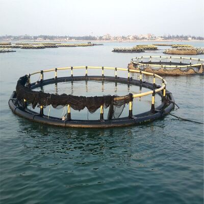 HDPE Floating Fish Cage with Integrated Anti-Bird Anti-Escape Structure and Strong Corrosion Resistance for Aquaculture Diameter 10m - 60m