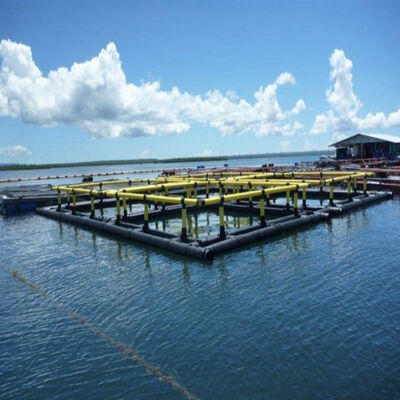 Custom Square Anti-Wave Fish Cage Integrated Floating Frame Aquaculture Net Cage Durable HDPE Material for Tilapia and Freshwater Fish Culture