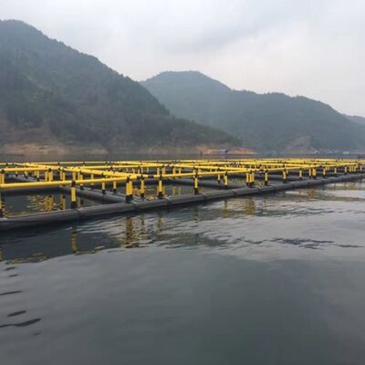 Eco Friendly Square Fish Cage Anti Aging Water Culture Net Cage