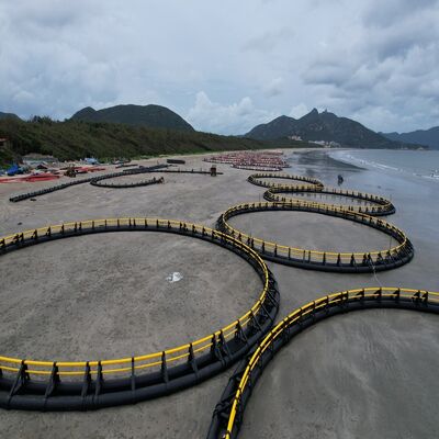 Large Circular Net Cage Tilapia Farming Cage with Full Accessories