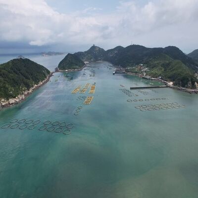 Cost-effective Simple Circular Leisure Cage for Small Fish Farm