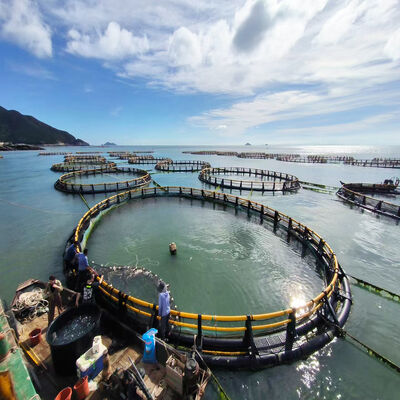 Complete Set Round Fish Cage with Anchor System & Floating Collar