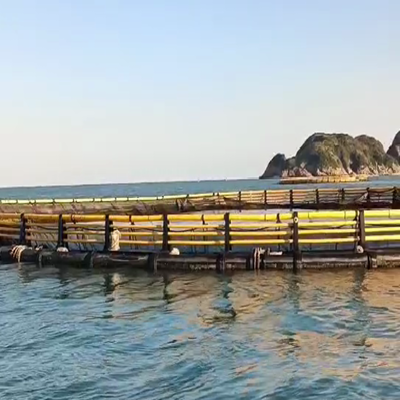 Anti-wave Round HDPE Fish Cage for Lake Reservoir Aquaculture