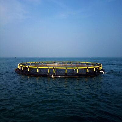Large Round HDPE Fish Cage Anti-Typhoon Deep Sea Breeding Cage