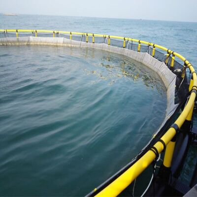Durable Round Floating HDPE Fish Cage For Tilapia & Shrimp Culture