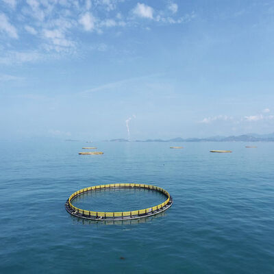 No More "Fish on the Run" · Anti-Escape Circular Cage