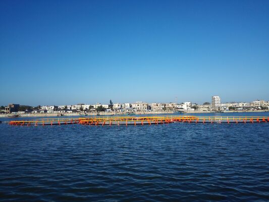 Split-type Round Fish Cage | Replaceable Netting for Multi-purpose Use