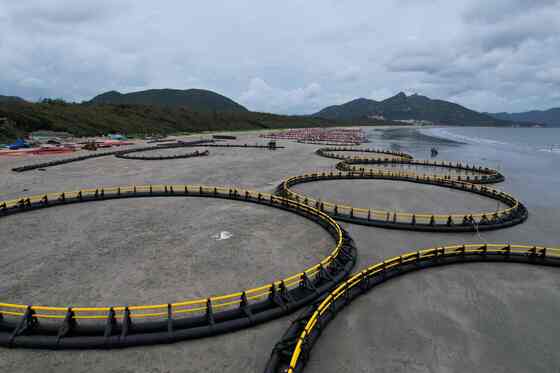 High strength HDPE floating fish cage for deep sea, lake and river farming. UV resistant, anti-corrosion, customized diameter for global aquaculture projects.