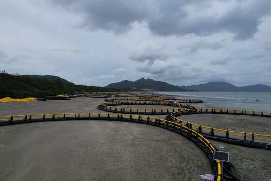 Legendary Master Cages Built to Resist Cold Frost Strong Winds and Large Temperature Difference for Romania Aquaculture