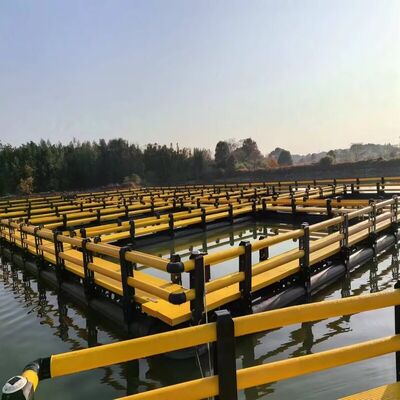 Modular Square HDPE Floating Fish Cage Offshore Nursery Cage for Pangasius & Sea Cucumber High Density Farming