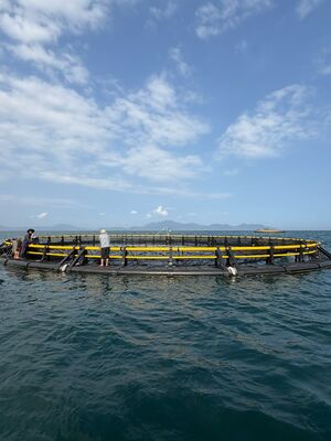Tired Of Fragile Short-Life Fish Cages? 2026 New Tech 15Y Anti-Wind HDPE Cage, Send Inquiry To Get Cost-Effective Quote