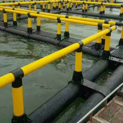 Heightened Square Anti-predator Fish Cage, Anti-bird & Anti-marine Beast Cage for Coastal Farming