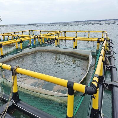 Mini Square Fish Cage Shallow Pond Use, Simple Aquaculture Cage for Family Farmers