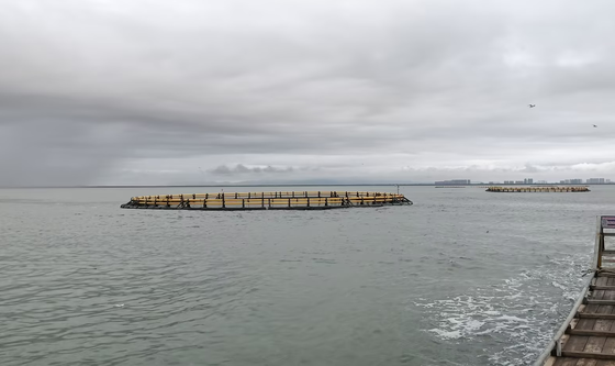 Looking for cost-effective cages? Our HDPE Fish Cages work reliably in freshwater for over 15 years