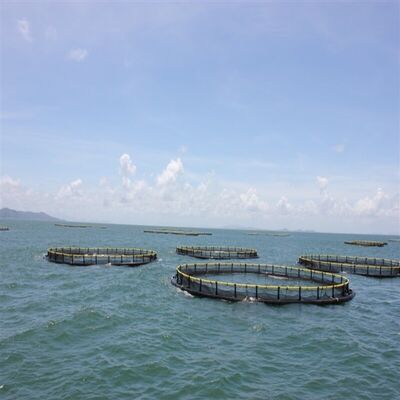 HDPE Cages for Tropical Deep Lakes | Ideal for Lake Tanganyika & Lake Victoria | Heat & UV Resistant