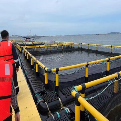 Modular HDPE Cage Raft System | Free Combination & Splicing | Scale Up On Demand