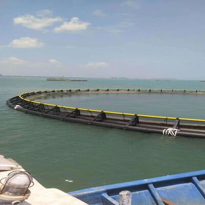 Shrimp Farming HDPE Cages | Anti-Escape Bottom Net Design | For Vannamei & Tiger Shrimp